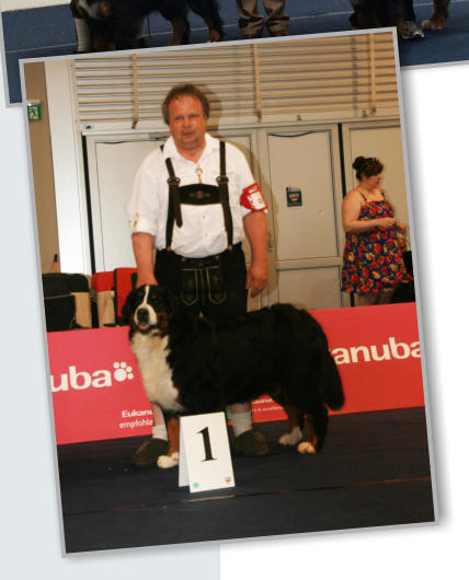 IHA Klagenfurt Xana CACIB BOS Crufts Qualifikation