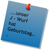 ...unser J - Wurf hat Geburtstag...