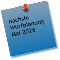 n�chste Wurfplanung Mai 2026