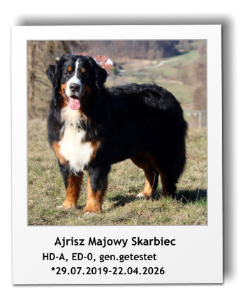 Ajrisz Majowy Skarbiec      HD-A, ED-0, gen.getestet         *29.07.2019-22.04.2026