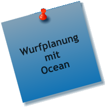 Wurfplanung mit Ocean