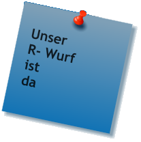 Unser R- Wurf ist  da