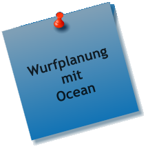 Wurfplanung mit Ocean